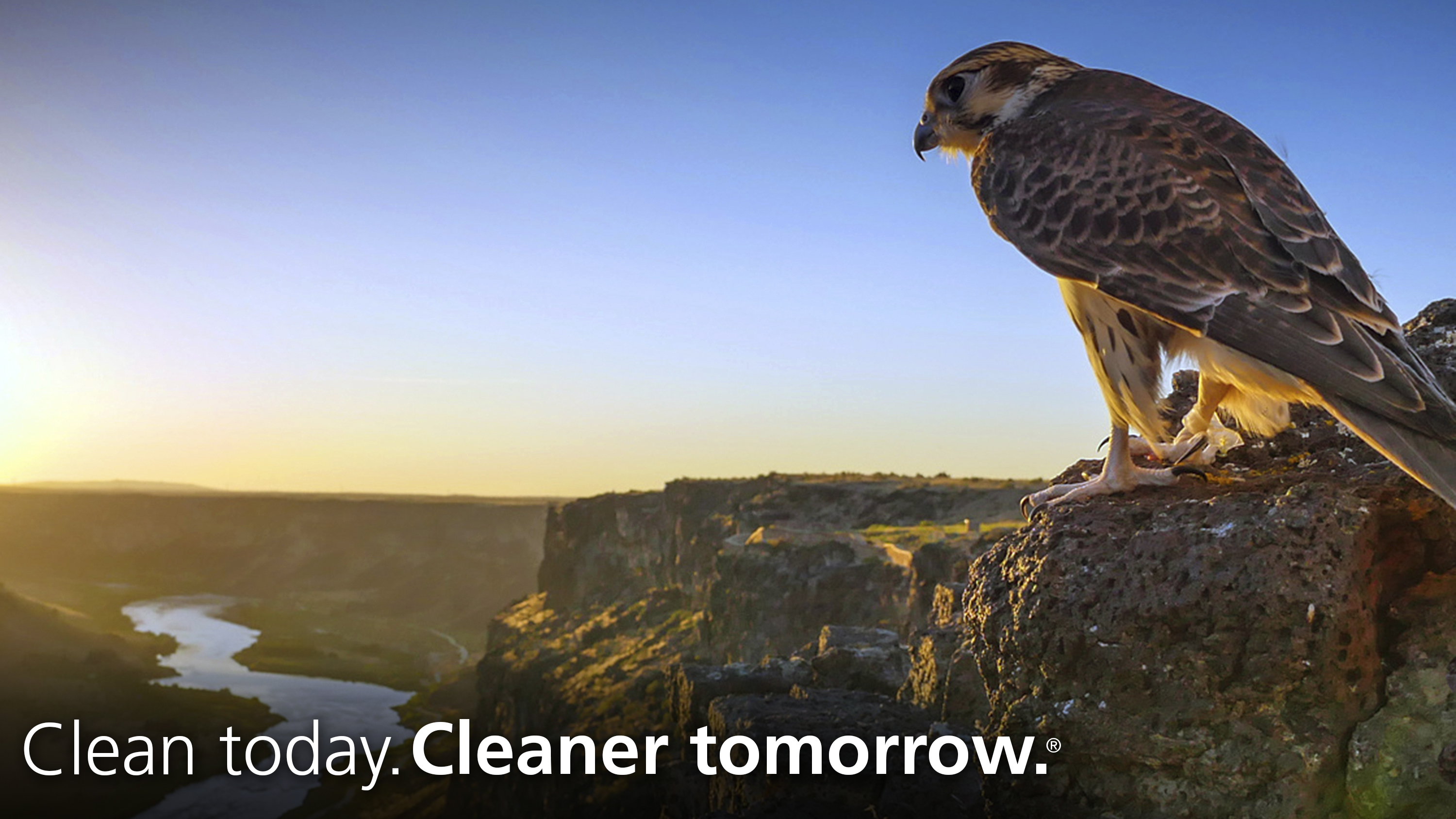 Clean_Today_Cleaner_Tomorrow_Falcon_Bkgrnd.jpg